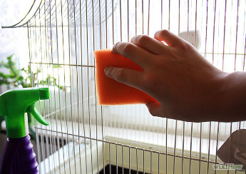 Image result for cleaning a bird cage